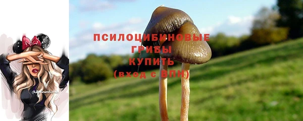 трава Заводоуковск